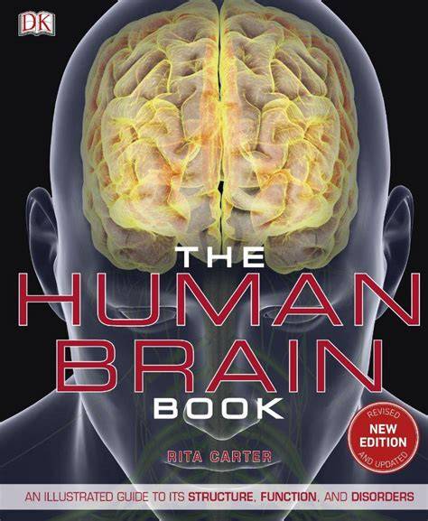 Peaceful Human with a Cool Brain