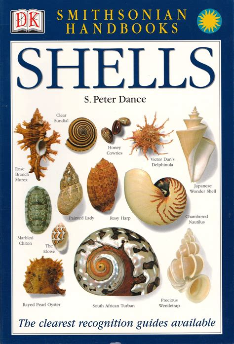 Pebbles and Shells