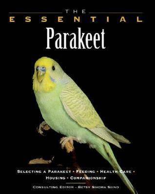 Peeta The Parakeet