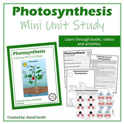 Photosynthesis Unit Study