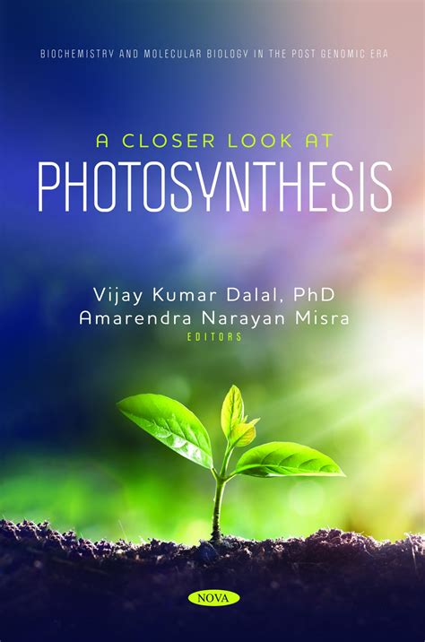 Photosynthesis
