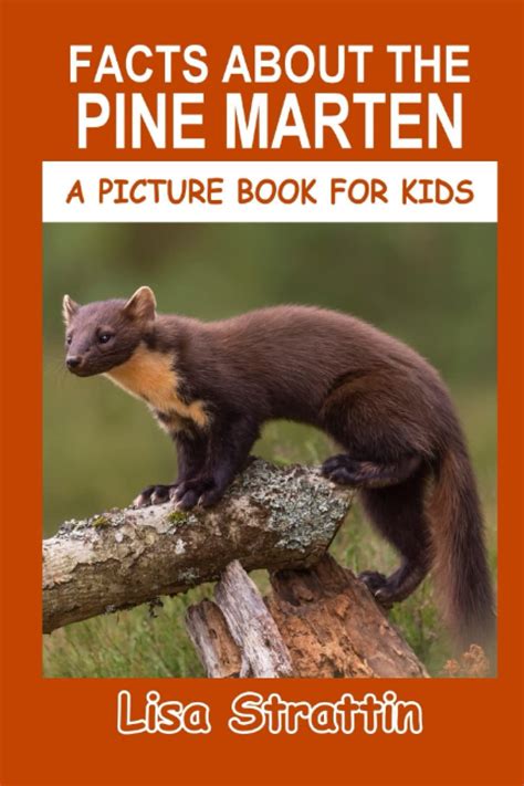 Pine Martens