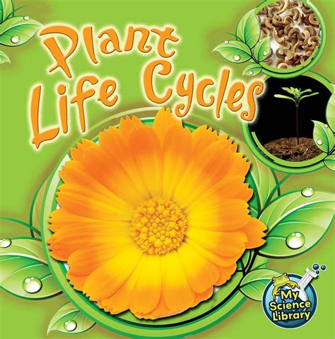 Plant Life Cycles (My Science Library)