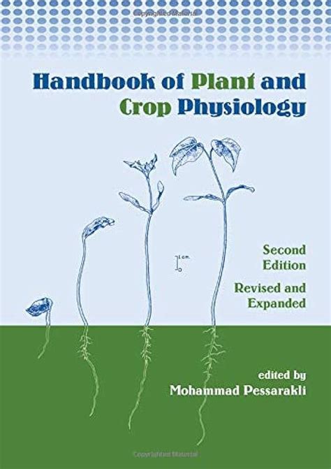 Plant Physiology (2nd Edition) (Paperback)