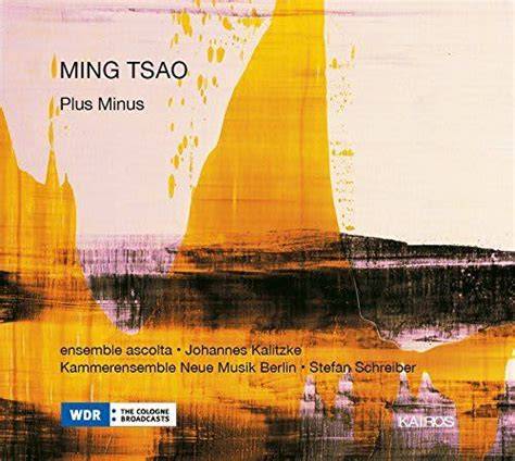 Plus Minus by Ming Tsao