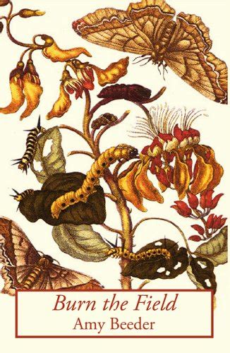 Poetry February 2004: Introducing Amy Beeder