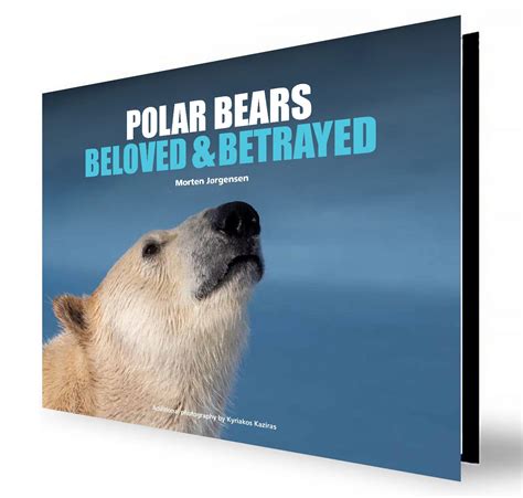 Polar Bears
