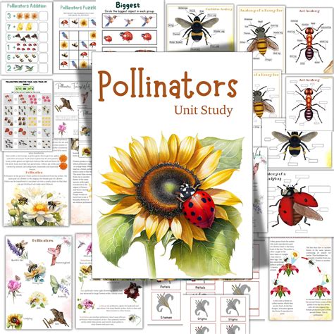 Pollinators Unit Study