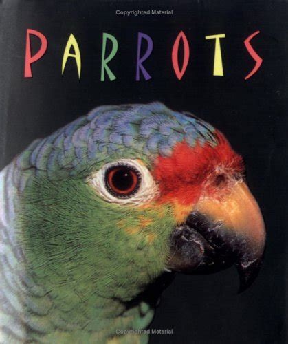 Popular Parrots