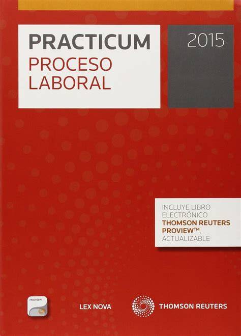 Practicum Proceso Laboral 2016