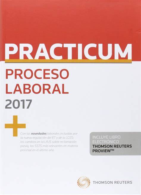 Practicum Proceso Laboral 2017