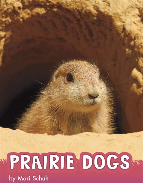 Prairie Dogs (Playful Animals)