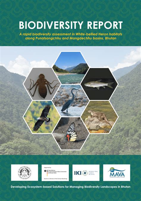 Preliminary conservation report