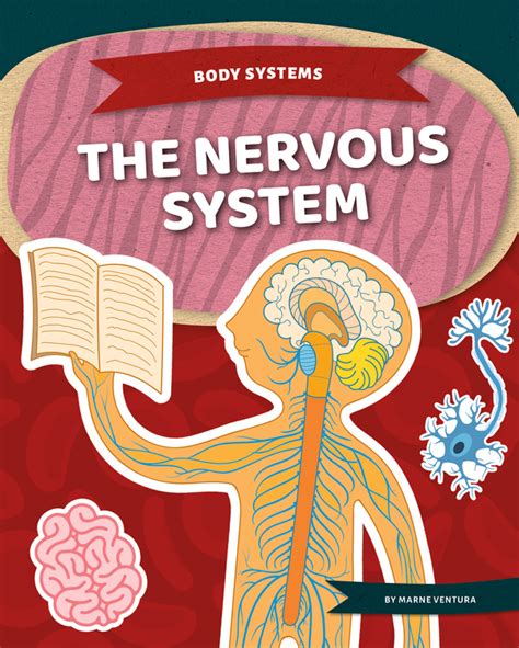 Primitive Nervous Systems