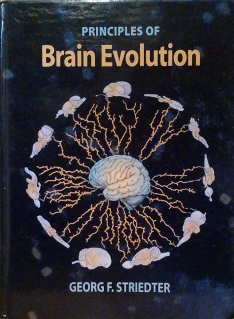 Principles of Brain Evolution