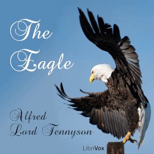 Principles of an eagle