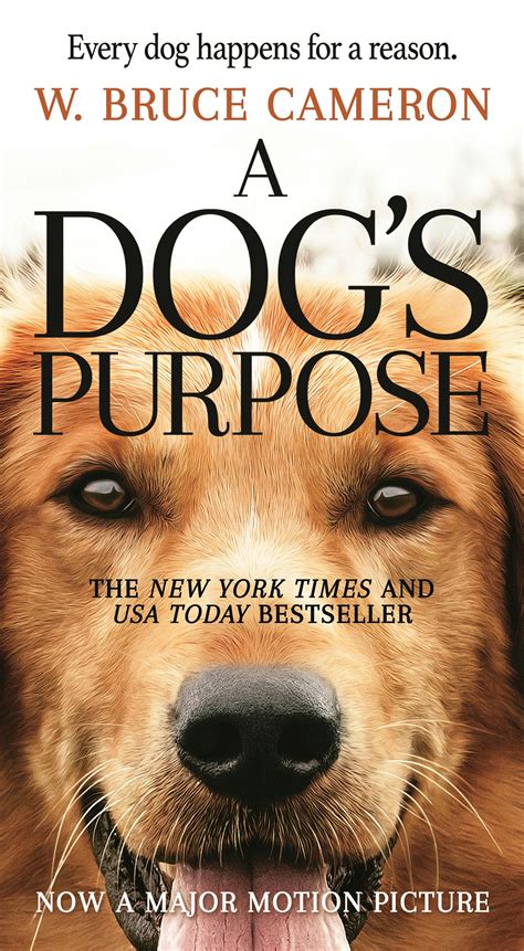 Prison Dogs