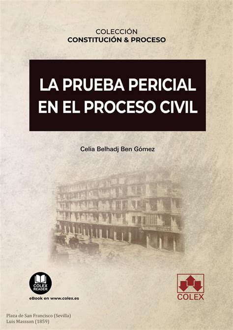 Proceso Civil (Spanish Edition)
