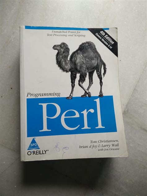Professional Perl Development