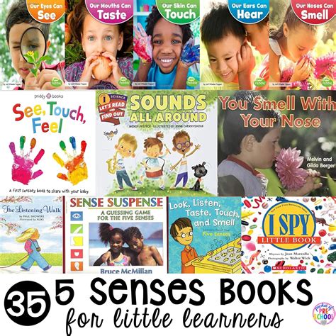 Professor H: Brain Explorer Senses Activity Book