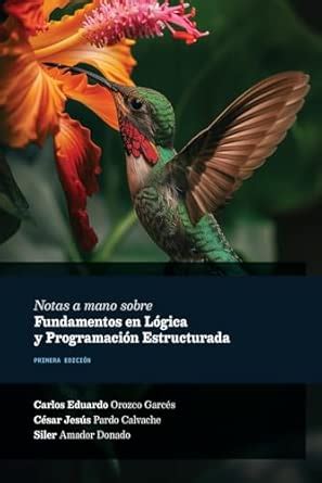 Programacion Estructurada (Spanish Edition)