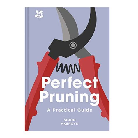 Pruning: A Practical Guide
