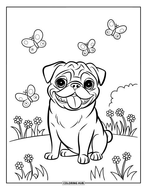 Pug Dog - Coloring Book