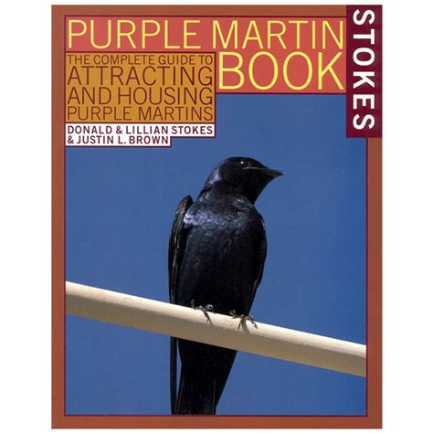 Purple Martin