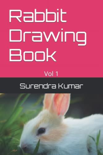 Rabbit Drawing Book