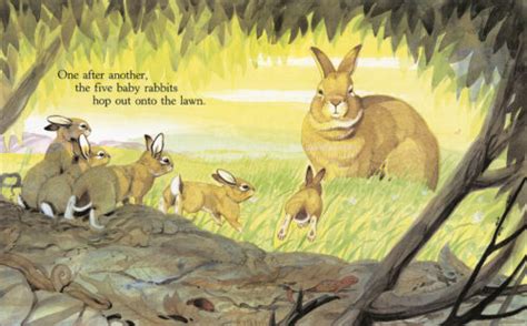 Rabbits & Raindrops