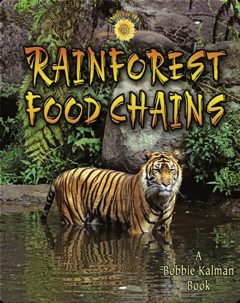 Rainforest Food Chains