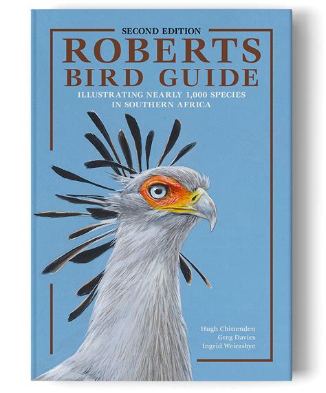 Rapid Bird Guide