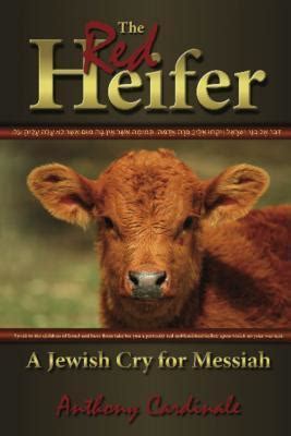 Red Heifer