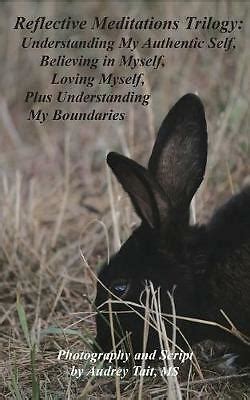Reflective Meditations Understanding My Authentic Self
