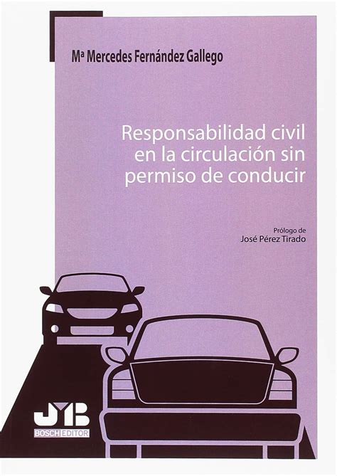 Responsabilidad Civil (Spanish Edition)