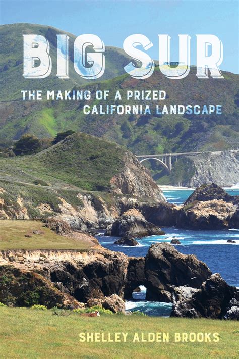 Reunion in Big Sur
