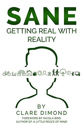 SANE: Getting Real with Reality