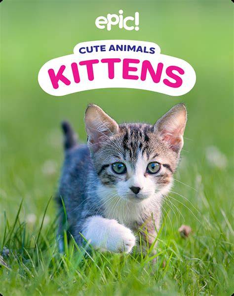 SANTA’S KITTENS