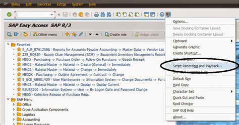 SAP Scripts Tutorial: Master SAP GUI Scripting