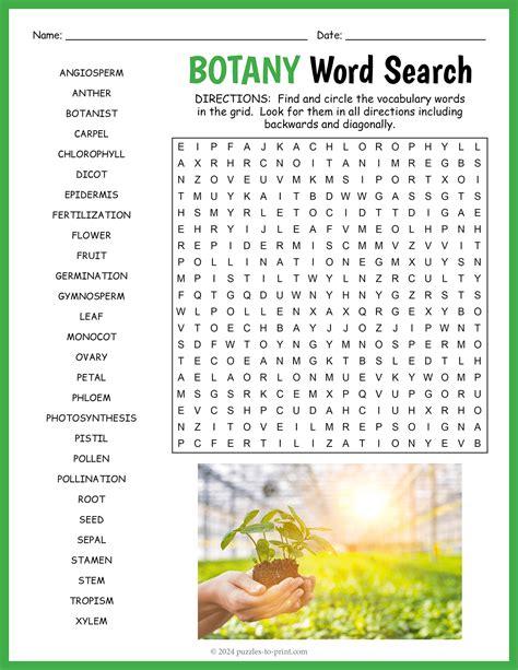 STEM Word Search: Botany
