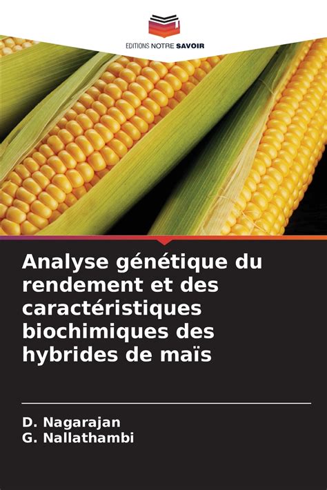 Salaire et rendement