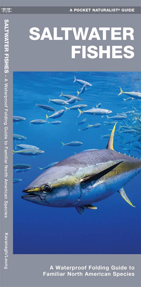 Saltwater Fish Breeds