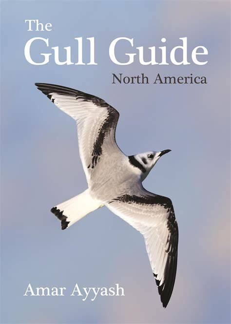Sammy the See Gull