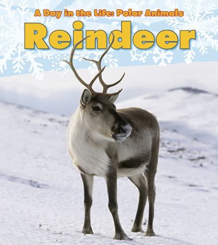 Santa's Reindeer