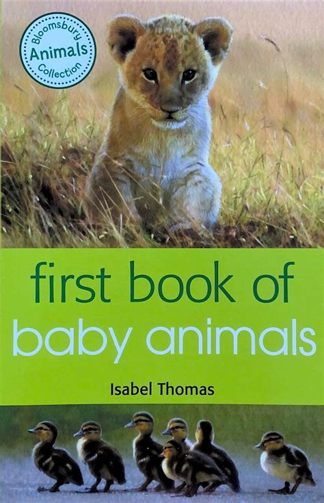 Save These Animals (First Interest)