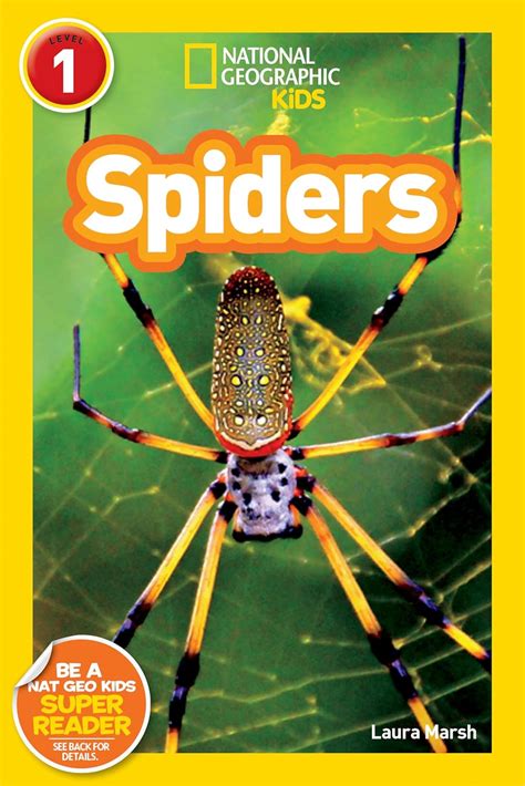 Scary Spiders