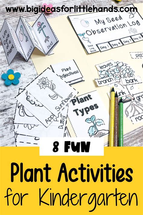 Science With Plants (Science Activities)