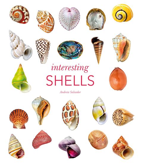 Sea shells,