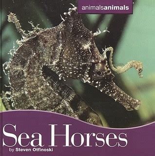 Seahorses