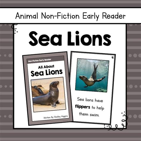 Searching for Sea Lions